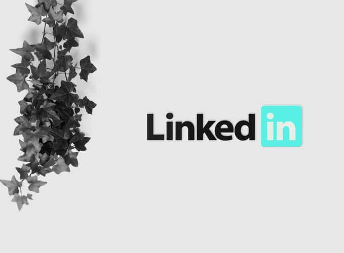 how to use Linkedin for SEO